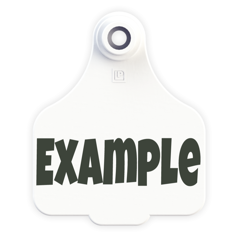 Medium Tag