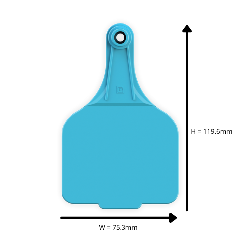 Extra Large Tag