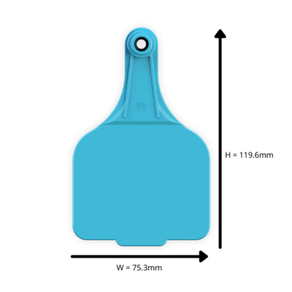 Extra Large Tag