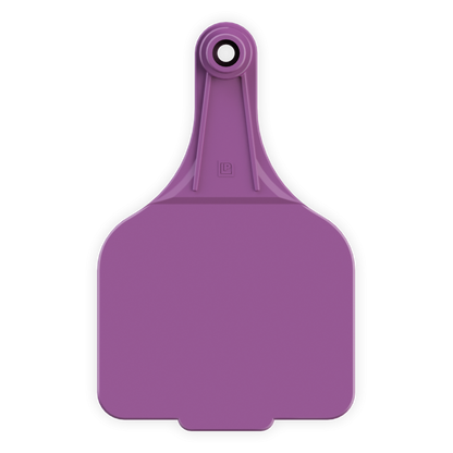 Extra Large Tag