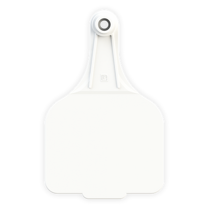 Extra Large Tag